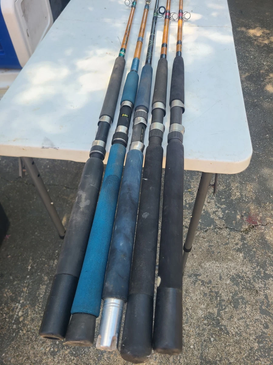 Fenwick Fishing Rods & Poles 5 Pieces for sale | eBay