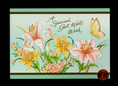 GET WELL Butterfly Tiger Lily Leaves - Greeting Card W/ TRACKING