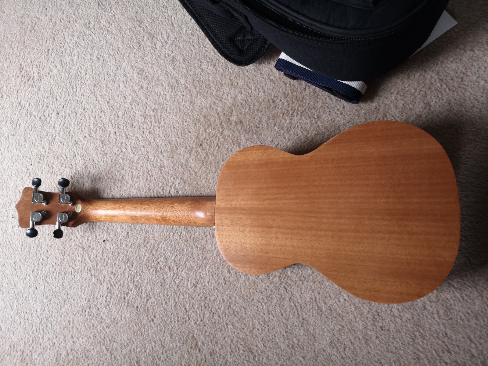 Enya EUC25D Solid Top Concert Ukulele Natural eBay