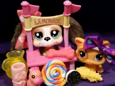 Littlest Pet Shop – Basset Hound #2413 & Chaton Orange #2414 Avec Accessoires