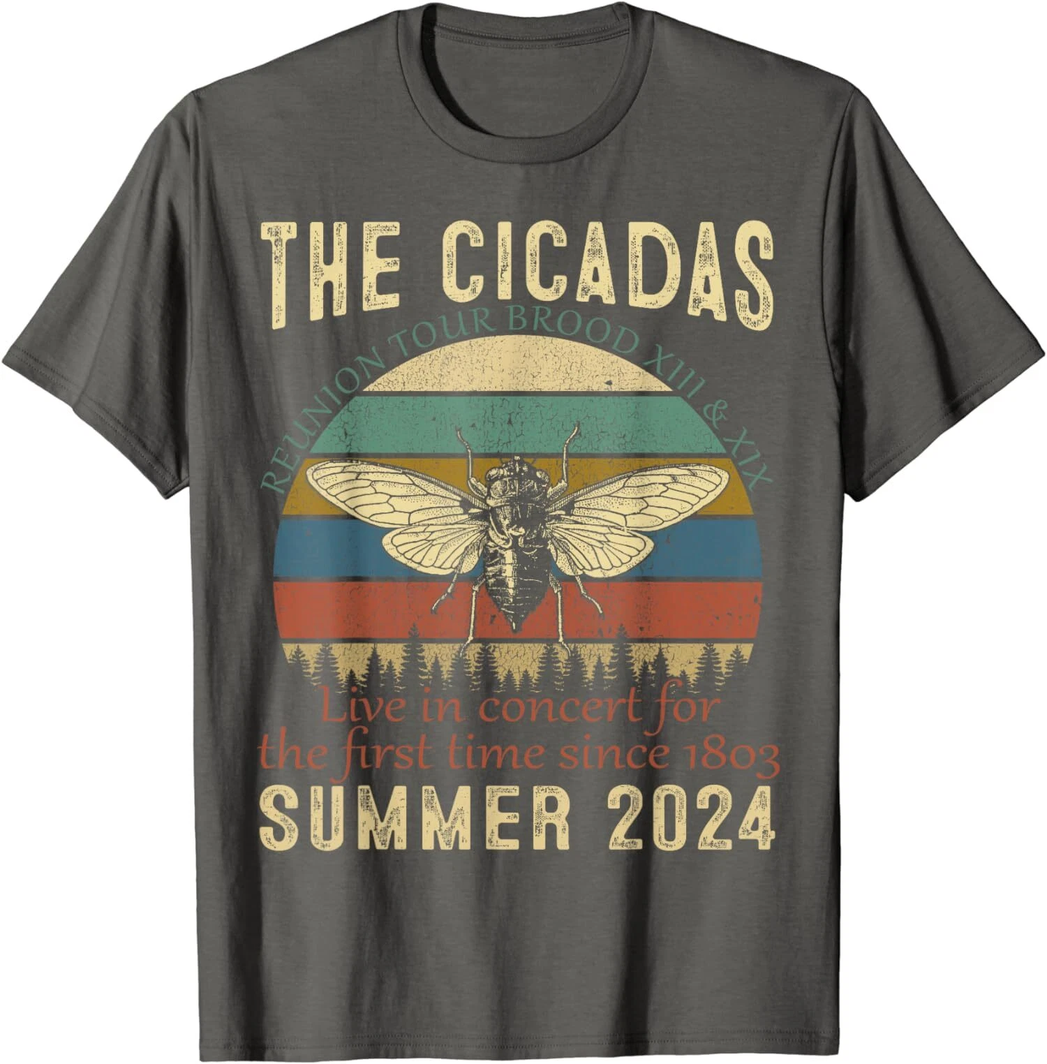 Cicada Brood XIII XIX Summer 2024 Reunion Tour Swarm Cicadas T-Shirt