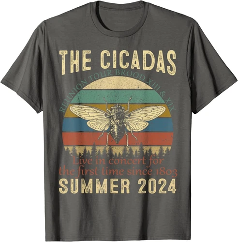 Cicada Brood XIII XIX Summer 2024 Reunion Tour Swarm Cicadas T-Shirt