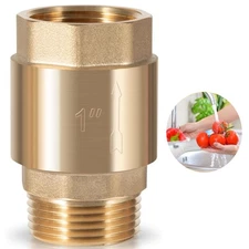 1" NPT One Way Brass Check Valve Female Pipe Thread for Well Pump SP0465X-100
