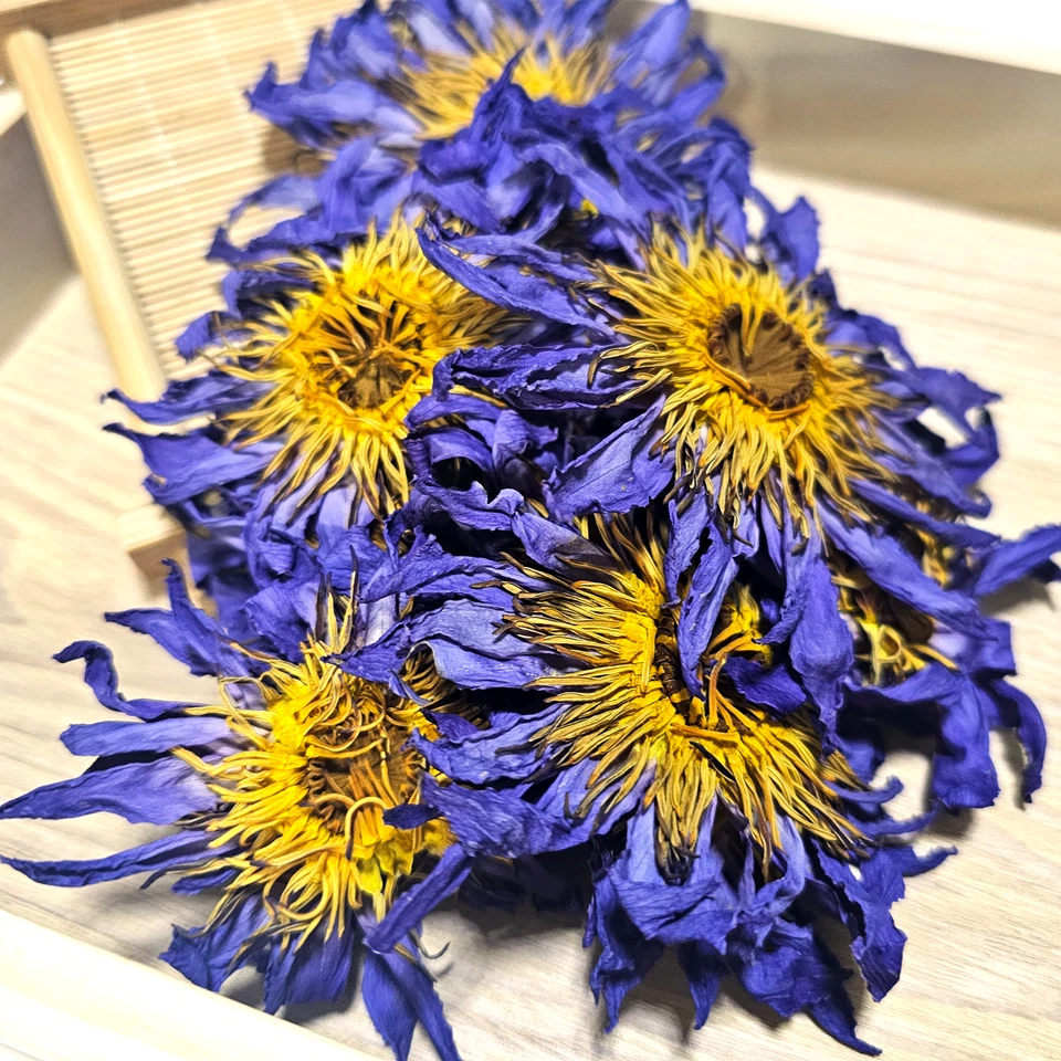 Flor de loto azul orgánico Egipto azul nelumbo nenúfar Foto 4 de 4