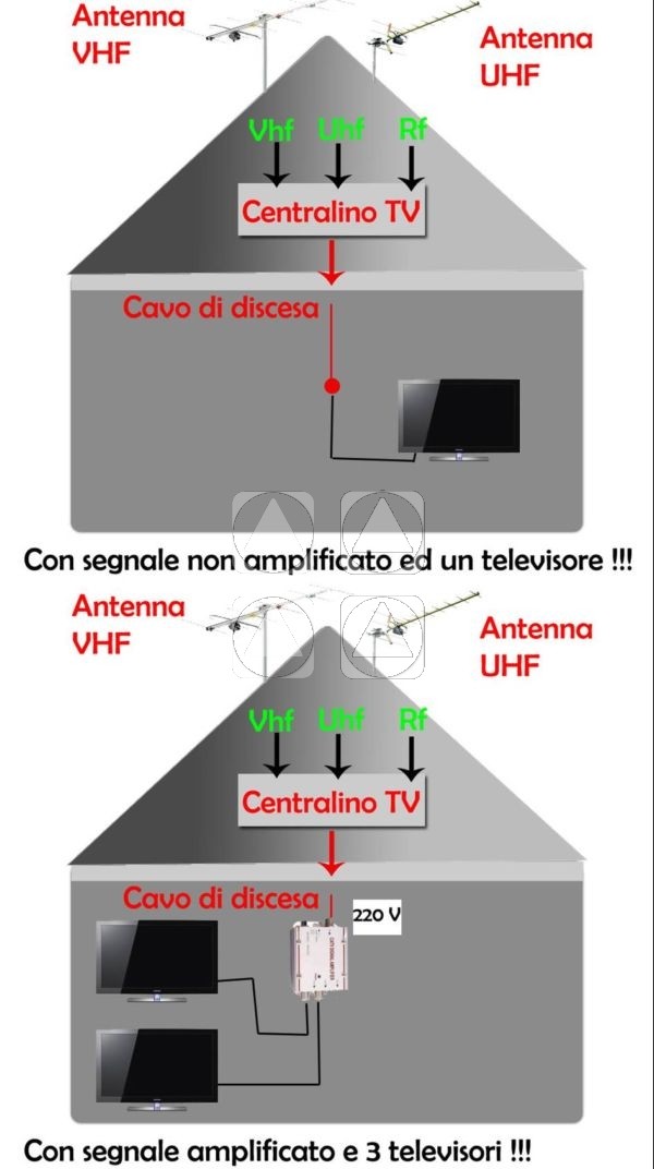 Foto 3 di 3