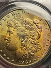 1883 O  Morgan Silver Dollar MS 64 CAC Orange Toning (Video)
