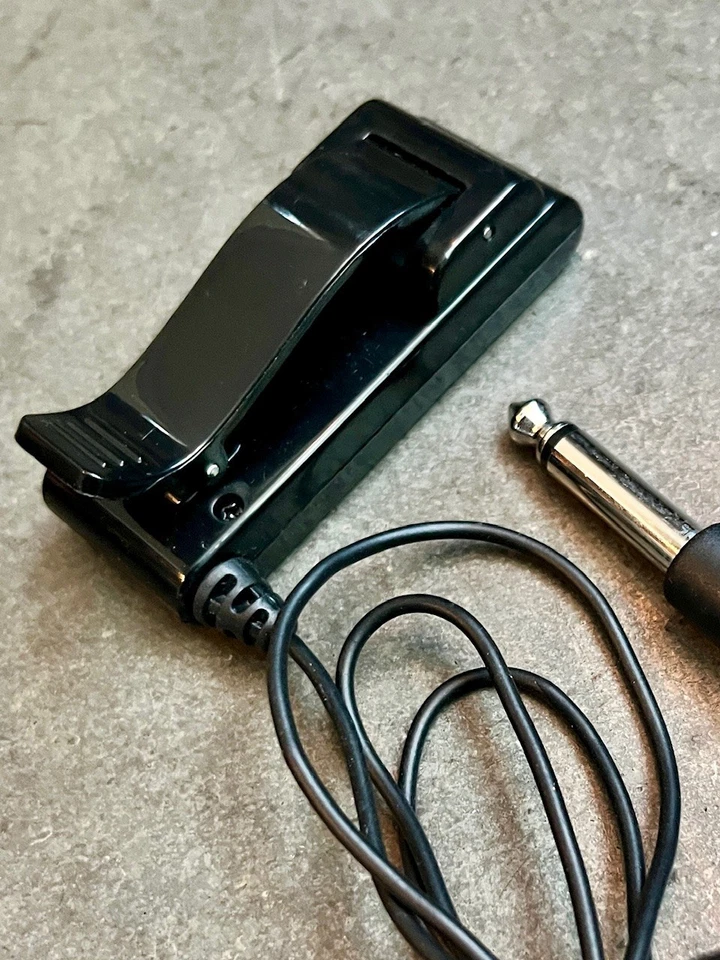 Pastilla de instrumento de guitarra Planet Waves Foto 2 de 2