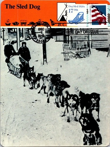 Dr Jim Stamps Maximum Card Dog Sled 1920'S 17C American Flag Forever Combo Fdc