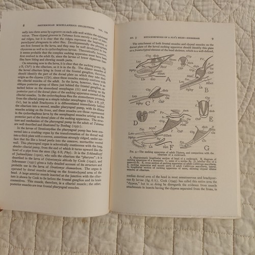 Rare 1953 Fly Metamorphosis Entomology Smithsonian Publication 4133 Volume 122 - 第 6/24 張圖片