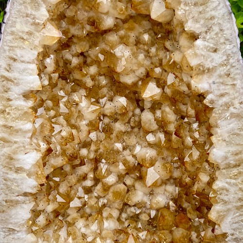 59.52LB Natural citrine geode crystal cluster quartz cathedrals specimen healing - 第 13/13 張圖片