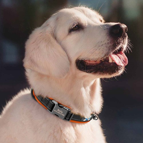 Nylon Personalised Dog Collar Custom Name Phone Number Adjustable Pet Collars - Picture 44 of 84