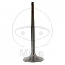 Prox Titan Intake Valve 28.1334-2