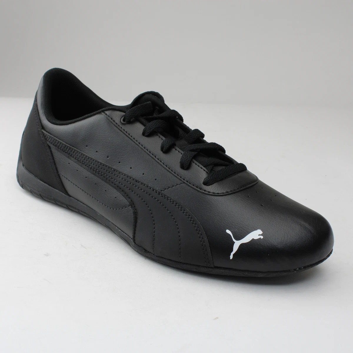 puma cat homme