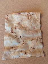 Espe Pappel Maser/ Wurzel Furnier für Intarsien  Restaurierung basteln
