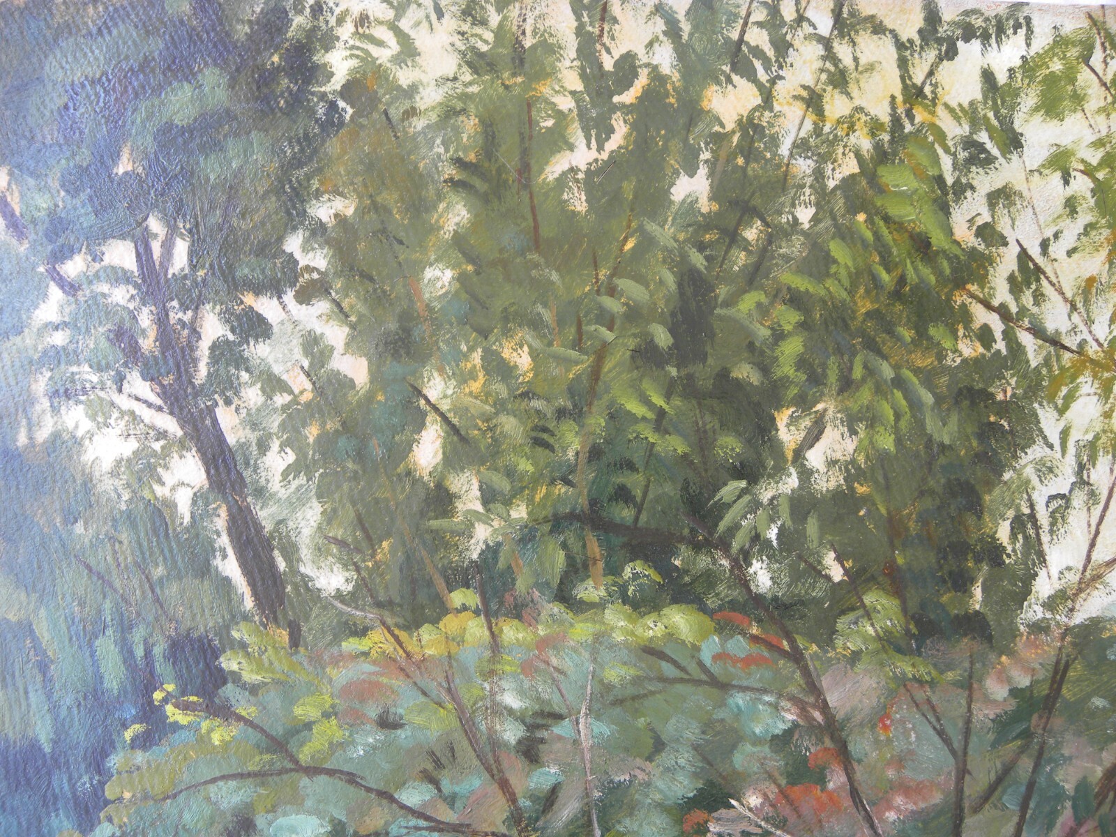Foto 12 di 17