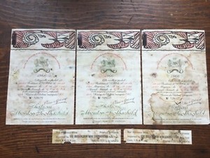 5 Chateau Mouton Rothschild Wine Bottle Labels 1966 The Buckingham Wine Corp. NY