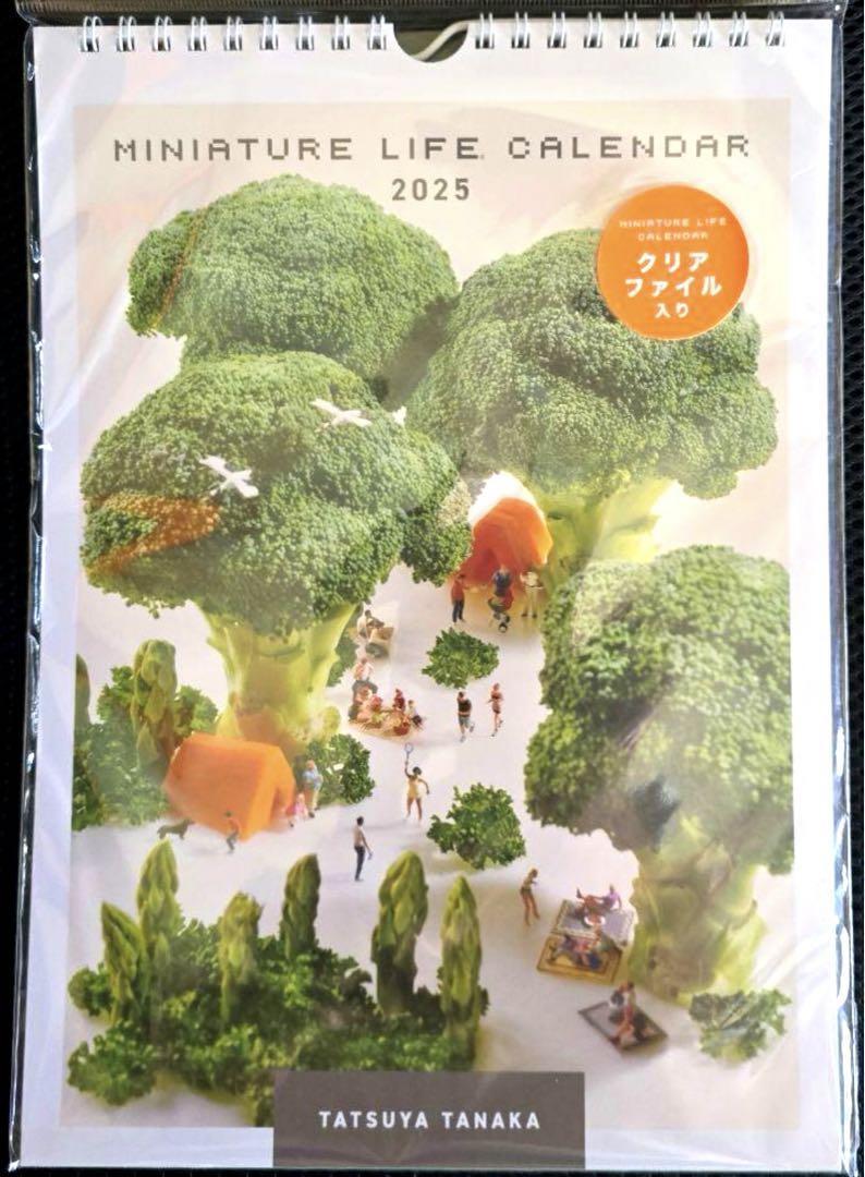 Wall Miniature Life Calendar 2025 Tatsuya Tanaka Japan Domestic