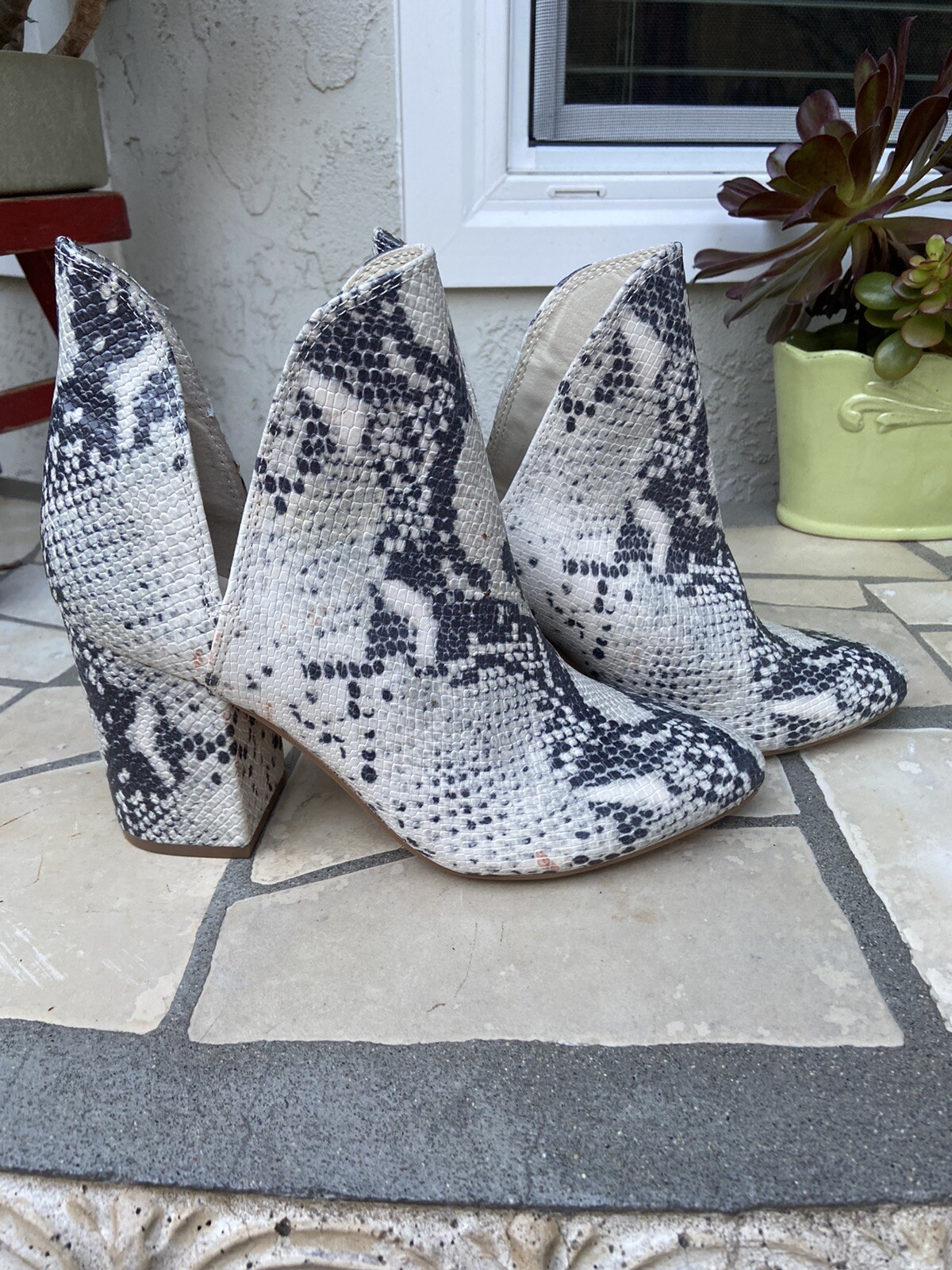 Steve Madden \