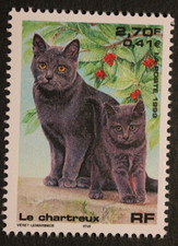 Timbre - FRANCE - Chat Le Chartreux - YT3283 - Neuf** - 1999