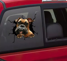 Boxer car decal,funny dog decal,pet decal,window decal,car sticker