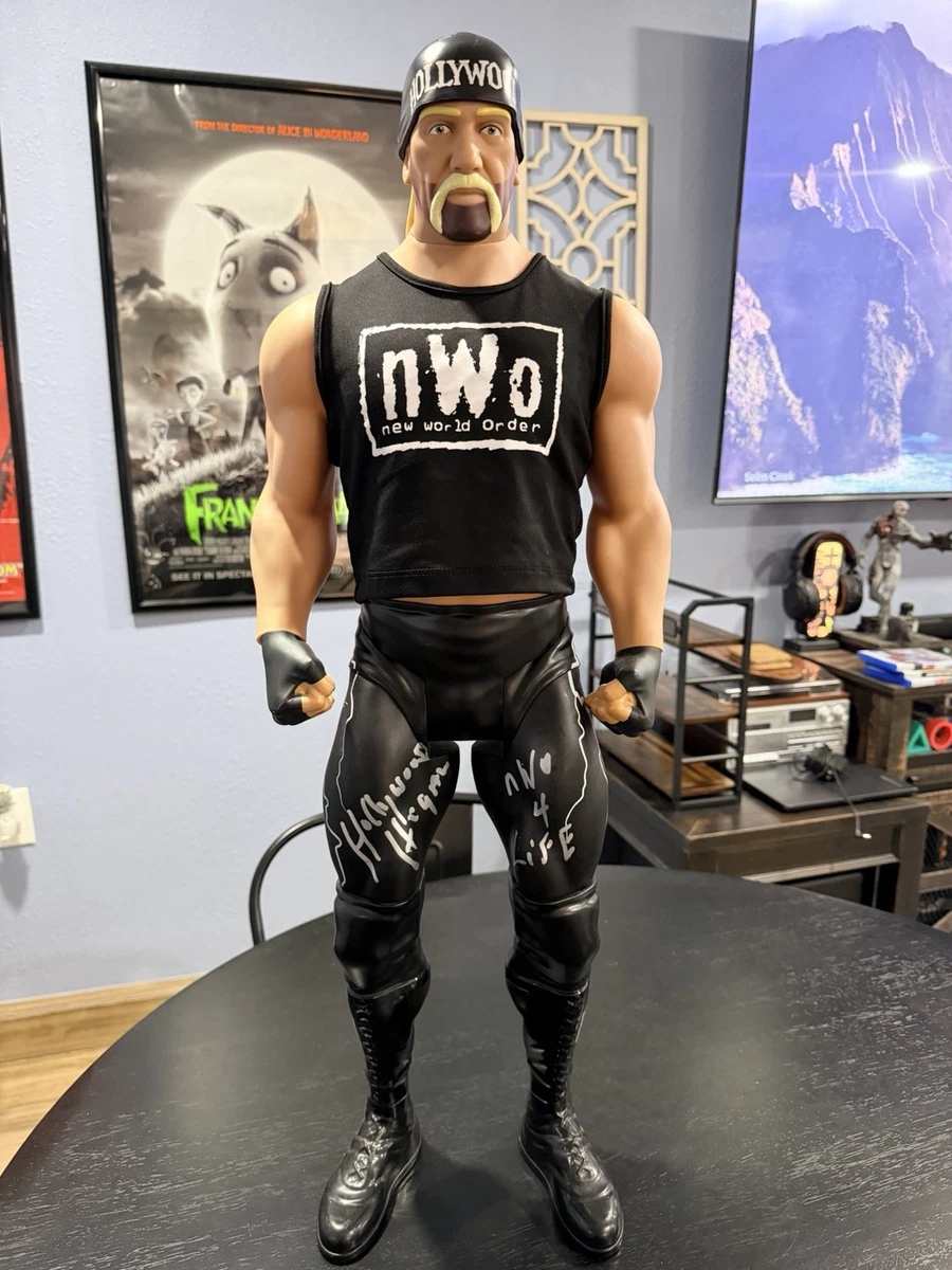 WCW Wrestling Fan Action Figures for sale | eBay