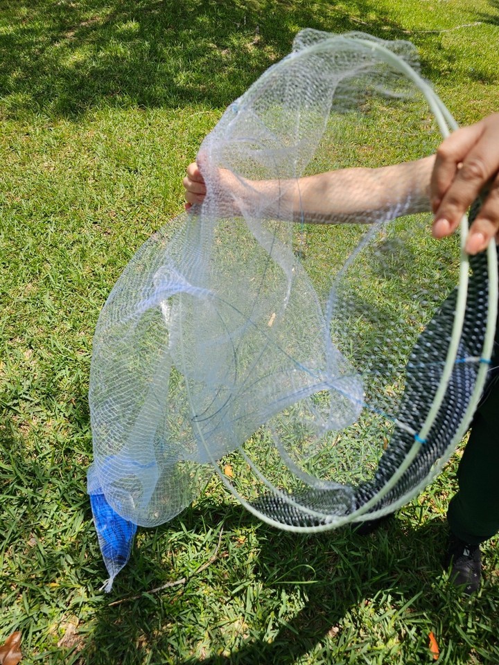 ballyhoo fishing net Ballyhoo Bait Net