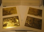 Picture 4 of 8