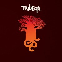 Tribeqa - 2LP - Vinyl Record Lp - G3Z