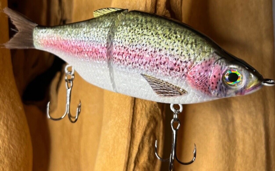 TYG Rainbow trout Glide bait custom 7 inch swimbait Rainbow meal eBay
