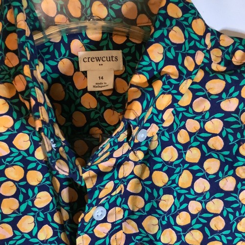 Camicia Crewcuts ragazzo con bottoni davanti, taglia 14, tasca, design frutta, colorata - Foto 2 di 6