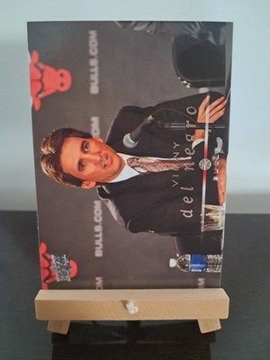 Vinny Del Negro Bulls Coach Upper Deck 08/09 #13