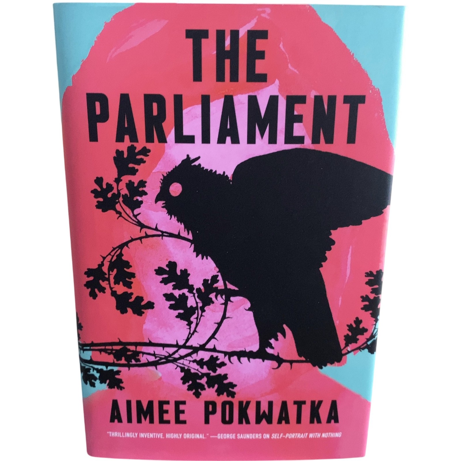 The Parliament Aimee Pokwatka Hardcover Fiction
