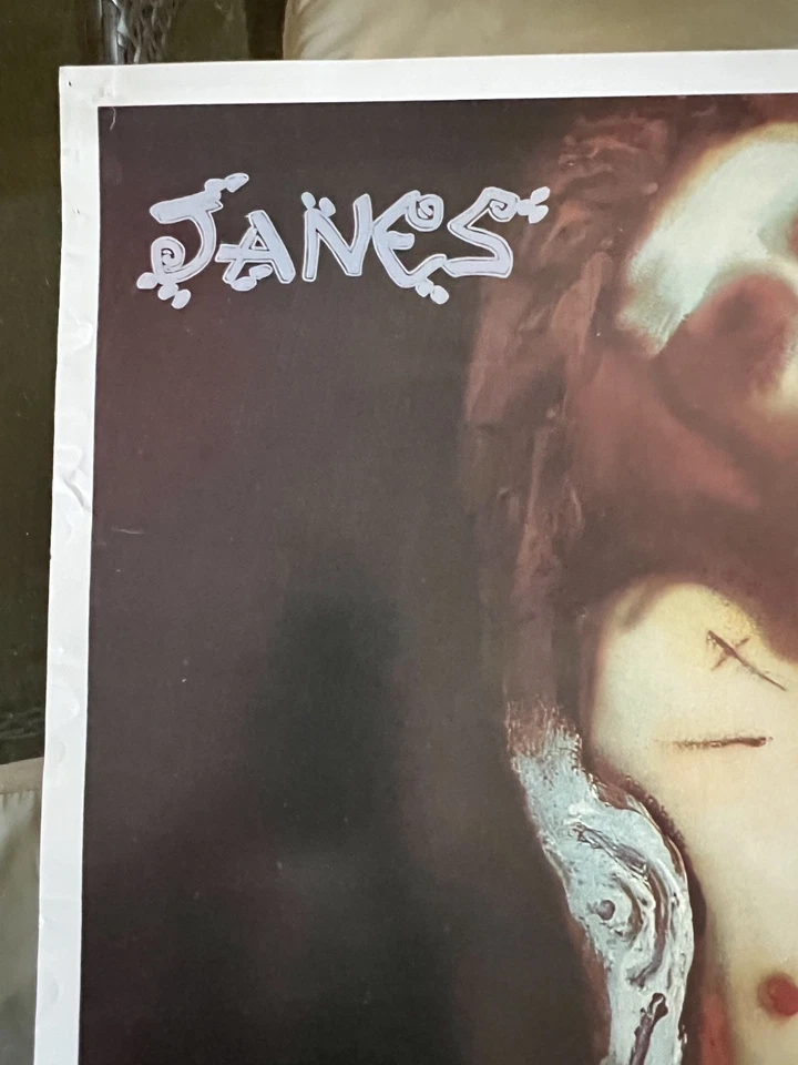 Jane's Addiction Perry Farrell Album Cover Vintage U.K. Import Poster 24 x 30.5 - Image 3 of 4