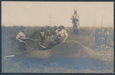DOA 2 1/2 Heller Privatpostkarte Elefanten Muanza 1908 M&uuml;nchen Attest (S28120)