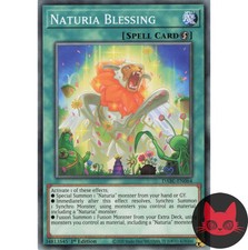 Yugioh Naturia Segen DABL-DE064 Common 1. Auflage NM