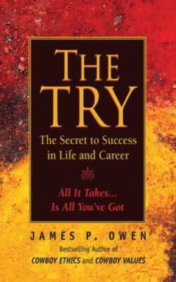The Try: Reclaiming the American Dream - Paperback By Owen, James P. - GOOD