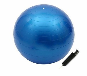 gym ball ebay