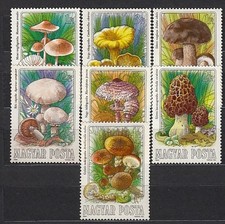 Hungary - Mail 1984 Yvert 2935/41 ** MNH Mushrooms