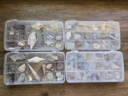 Lot Of 65 Rocks And Shells Collection Set