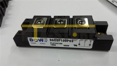 1PCS Brand New Module DW DAC2F100P6S Quality Assurance 100% #yr