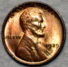 Brilliant Uncirculated 1929-P Lincoln Cent, Fiery, Nearly Full-Red specimen.