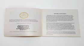 Robin Hood Prince Of Thieves Nintendo NES Instruction Booklet Manual USA