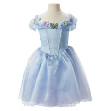 Disney Princess Cinderella Ella Butterflies Dress Costume Size 4-6 Birthday Girl