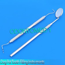 Dog Pet Tooth Filling Instruments Jaquette Scaler veterinary Tartar 2 Pcs