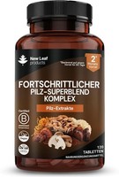 Pilz Komplex 120 Vegane Stk - LöWenmäHne,Reishi,Cordyceps,Chaga,Shiitake,Maitake