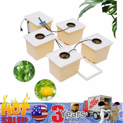 Hydroponics Deep Water Culture DWC Hydroponic System buckets Drip Growing System