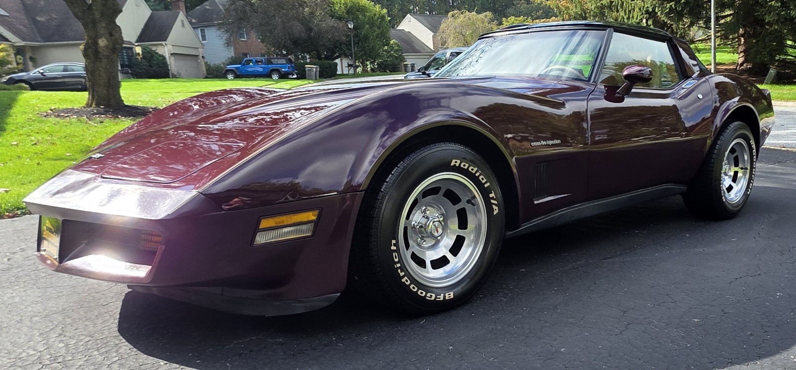 1982 Claret Burgundy Metallic Chevrolet Corvette   | C3 Corvette Photo 6