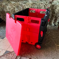 Foldable Trolley Cart Wheels Lid Groceries Storage Shopping Crafts Girl Woman