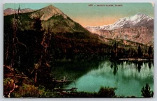 Pettit Lake ID Scenic Card Postcard Vintage Card