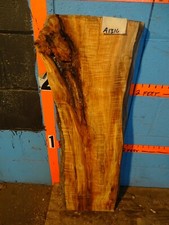 A1316 2 7/8" THICK KILN DRIED spalted Maple Live Edge Slab mantel table